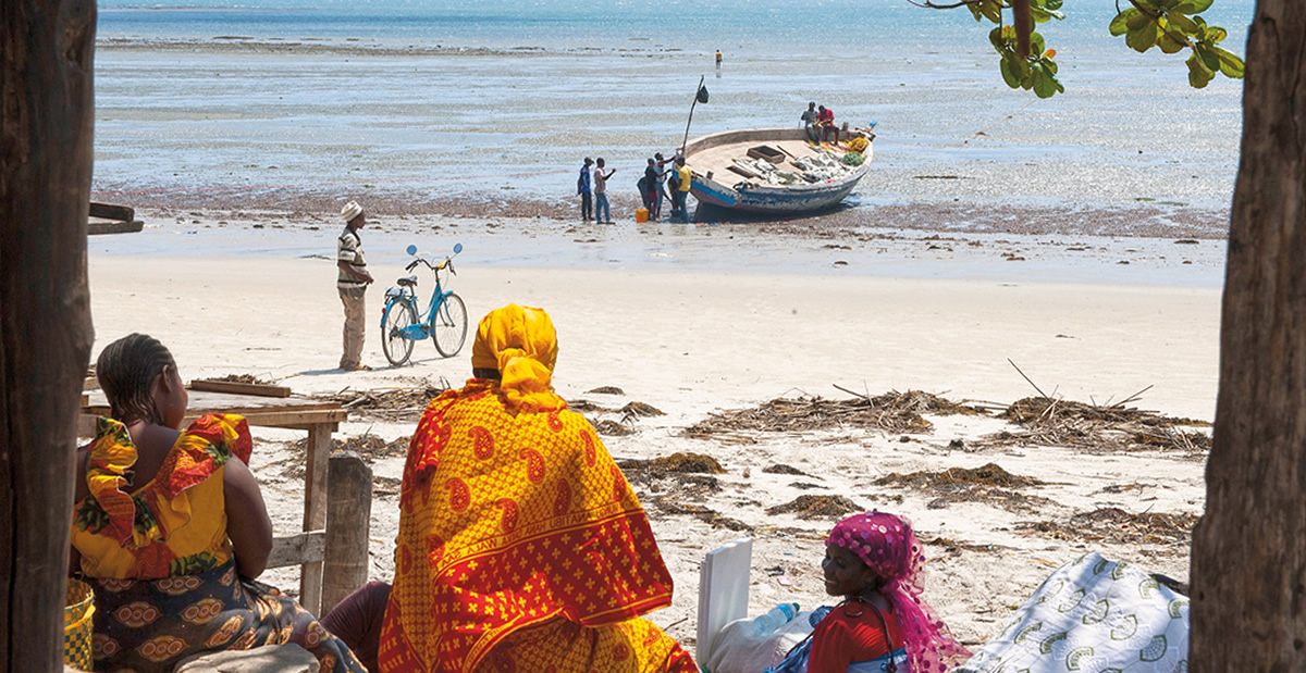 Sea Change Comes to Bagamoyo