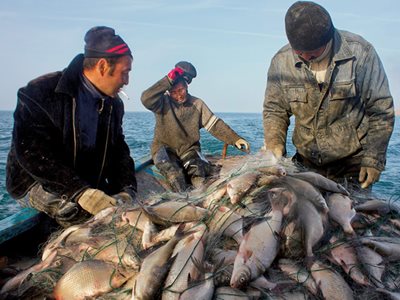Reviving the North Aral Sea