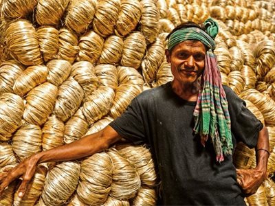 Jute, The Future’s Golden Fiber