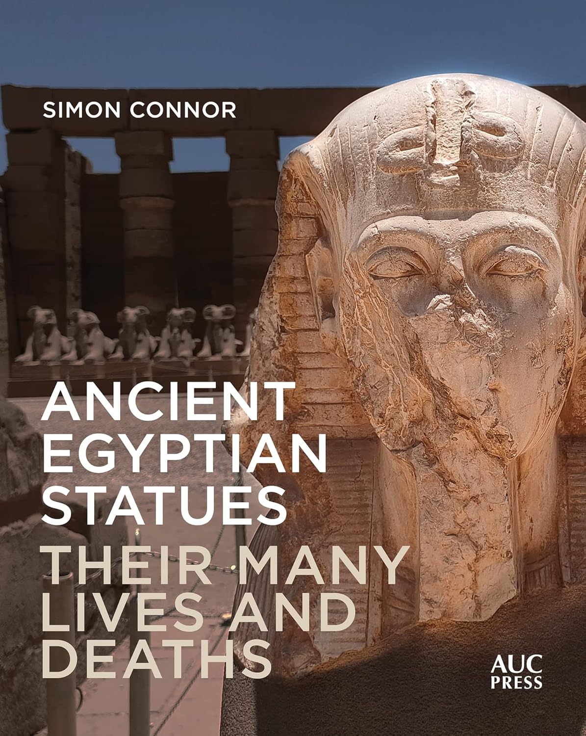 Ancient Egyptian Statues: Their Many Lives and Deaths 