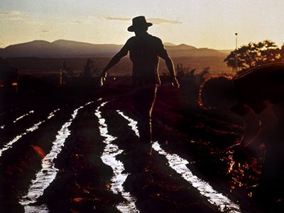 How The Middle Eastern Irrigation Ditch Called Acequia Changed The American Southwest