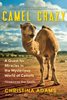 Camel Crazy: A Quest for Miracles in the Mysterious World of Camels