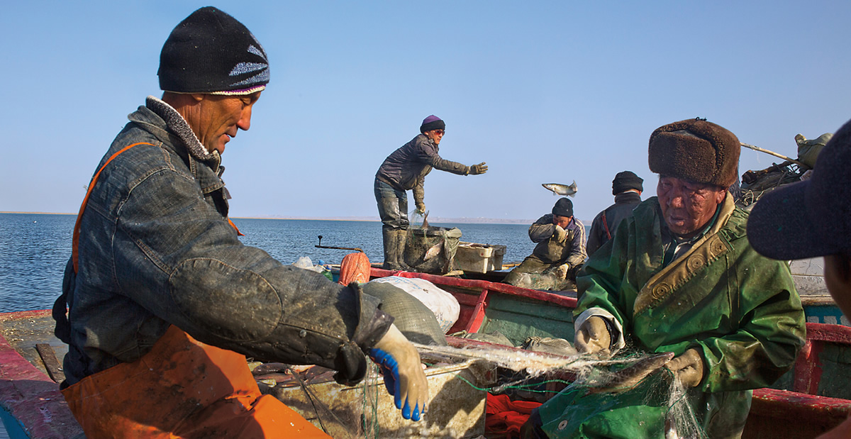 Revivendo o Mar de Aral do Norte - Aral Sea Portuguese
