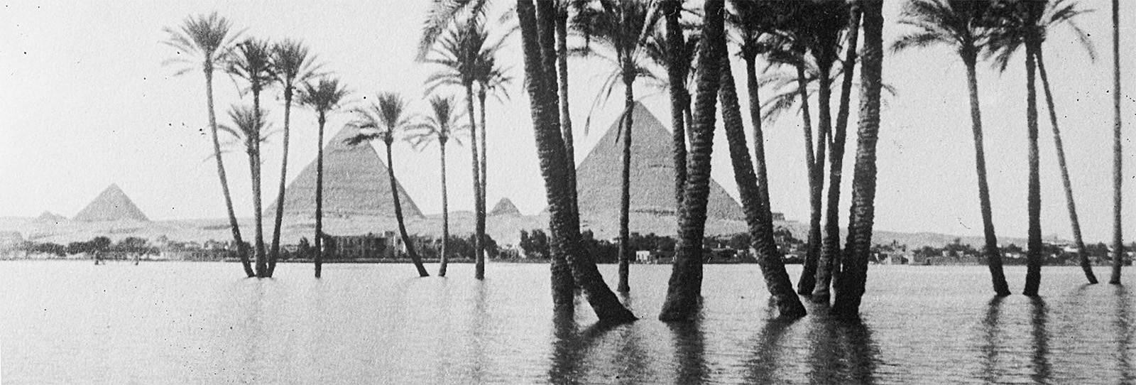 Egyptology’s Eloquent Eye: Mohammedani Ibrahim