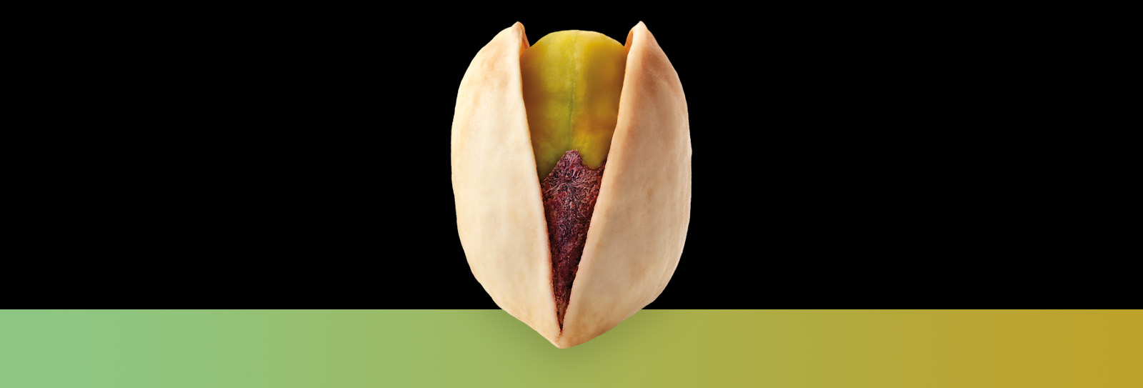 Pistachios' History of Graft