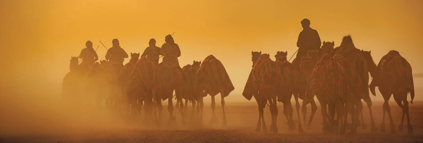 FirstLook: Morning <em>tafheem</em>, al-Rumah, Saudi Arabia