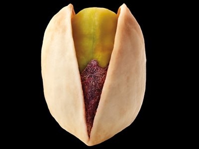 Pistachios' History of Graft