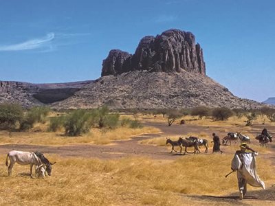 FirstLook: Hambori, Mali