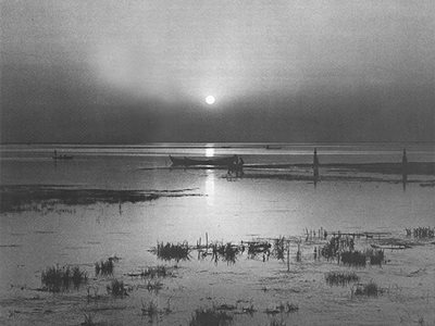 In The Marshes Of Iraq