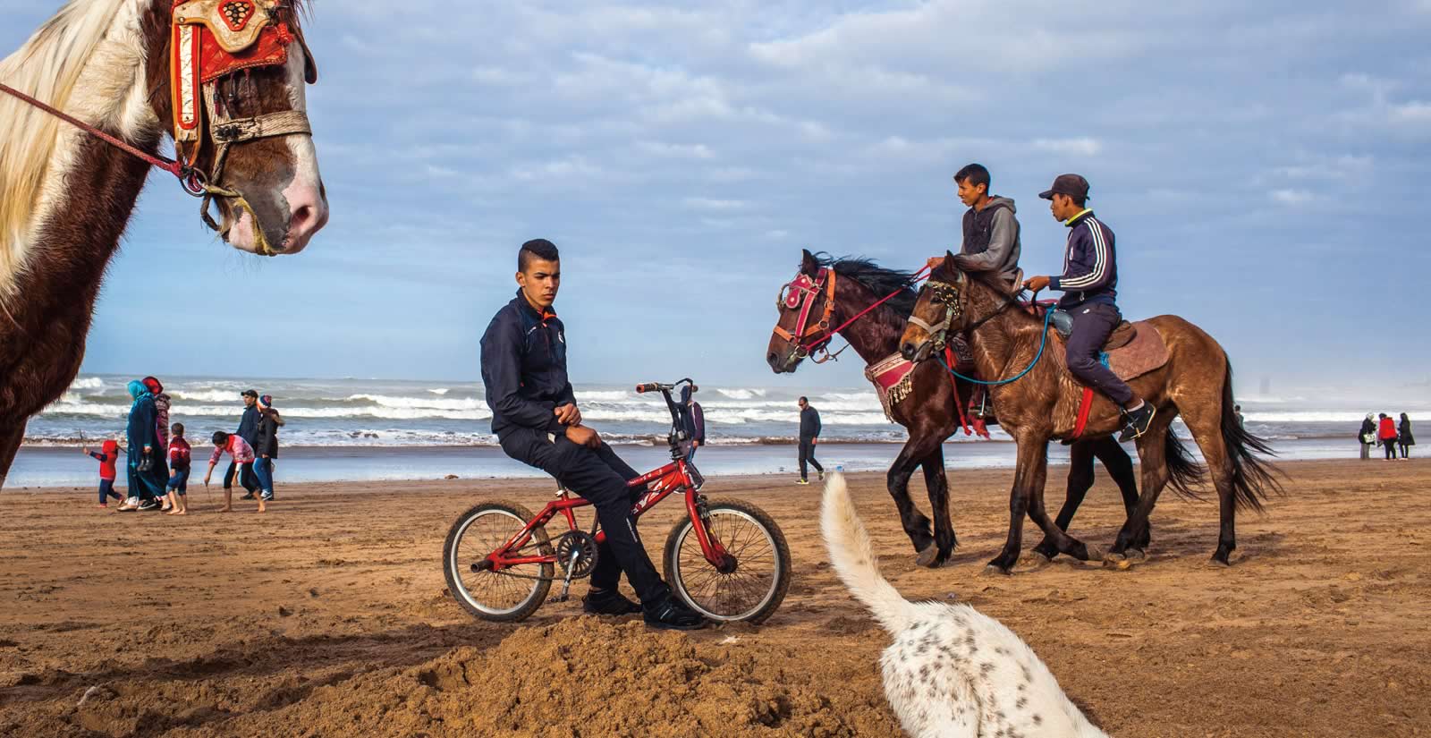 FirstLook: Casablanca Not the Movie