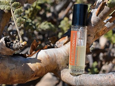 The World’s First Oils