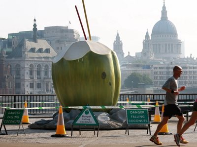 Cracking Coconut's History