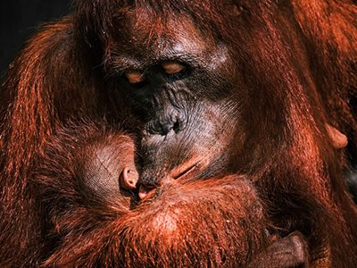 FirstLook: A Mother’s Kiss