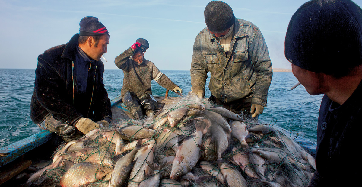 Reviving the North Aral Sea
