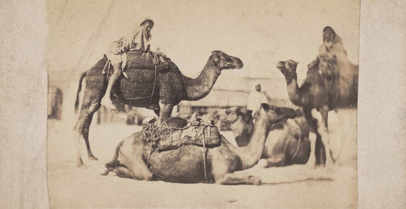 The Art of Saddling a Camel