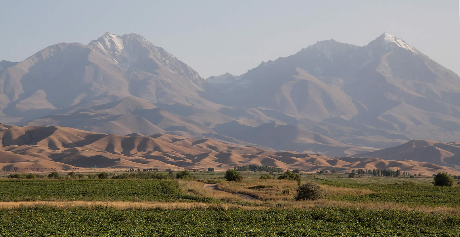 After Manas, My Kyrgyz, Your Chingiz