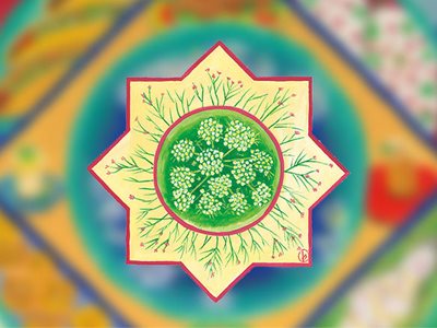 Spice Migrations: Cumin