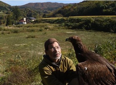 Hunting with Eagles