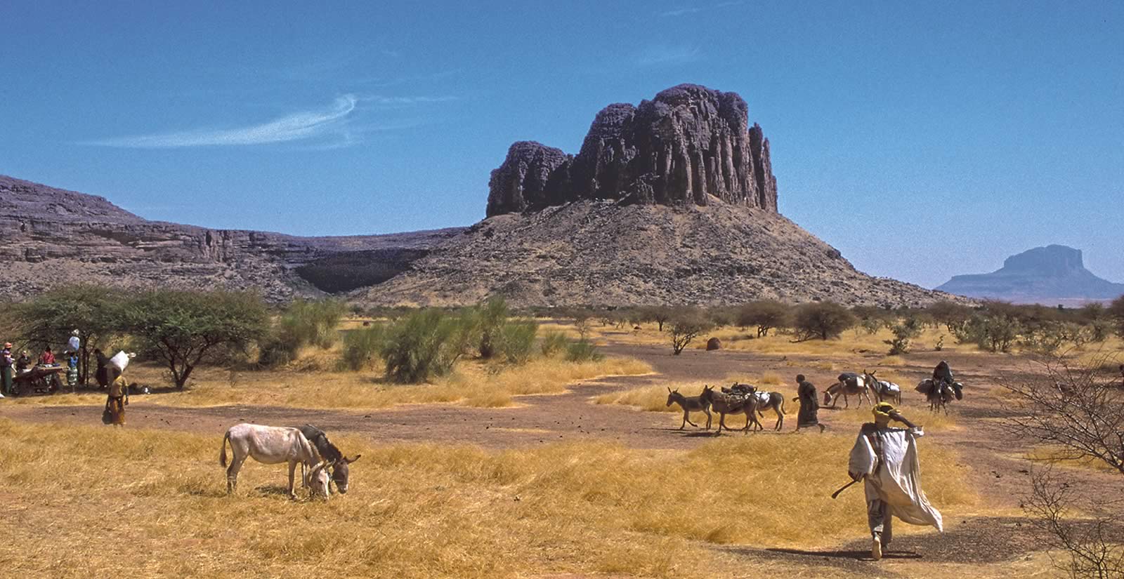 FirstLook: Hambori, Mali