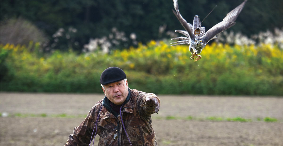 Rites of Flight: Falconry in Japan