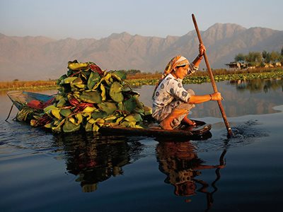 FirstLook: Removing Water Lilies from Dal Lake