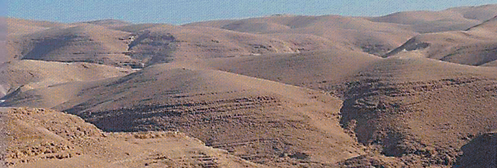 Culture, People and Land: A Conversation with Matthew Teller