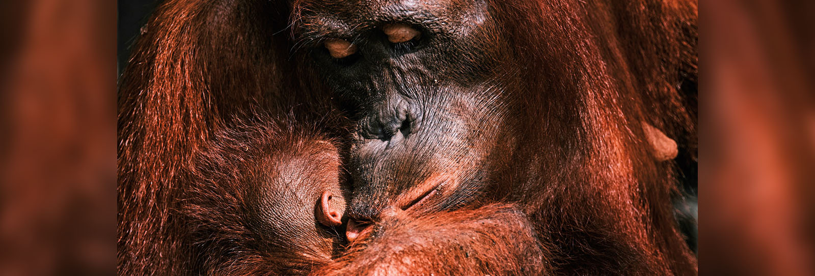 FirstLook: A Mother’s Kiss