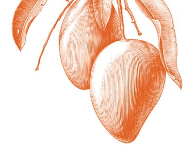 Mango: The Emperor's New Fruit