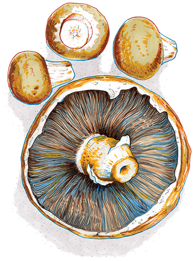 mushrooms