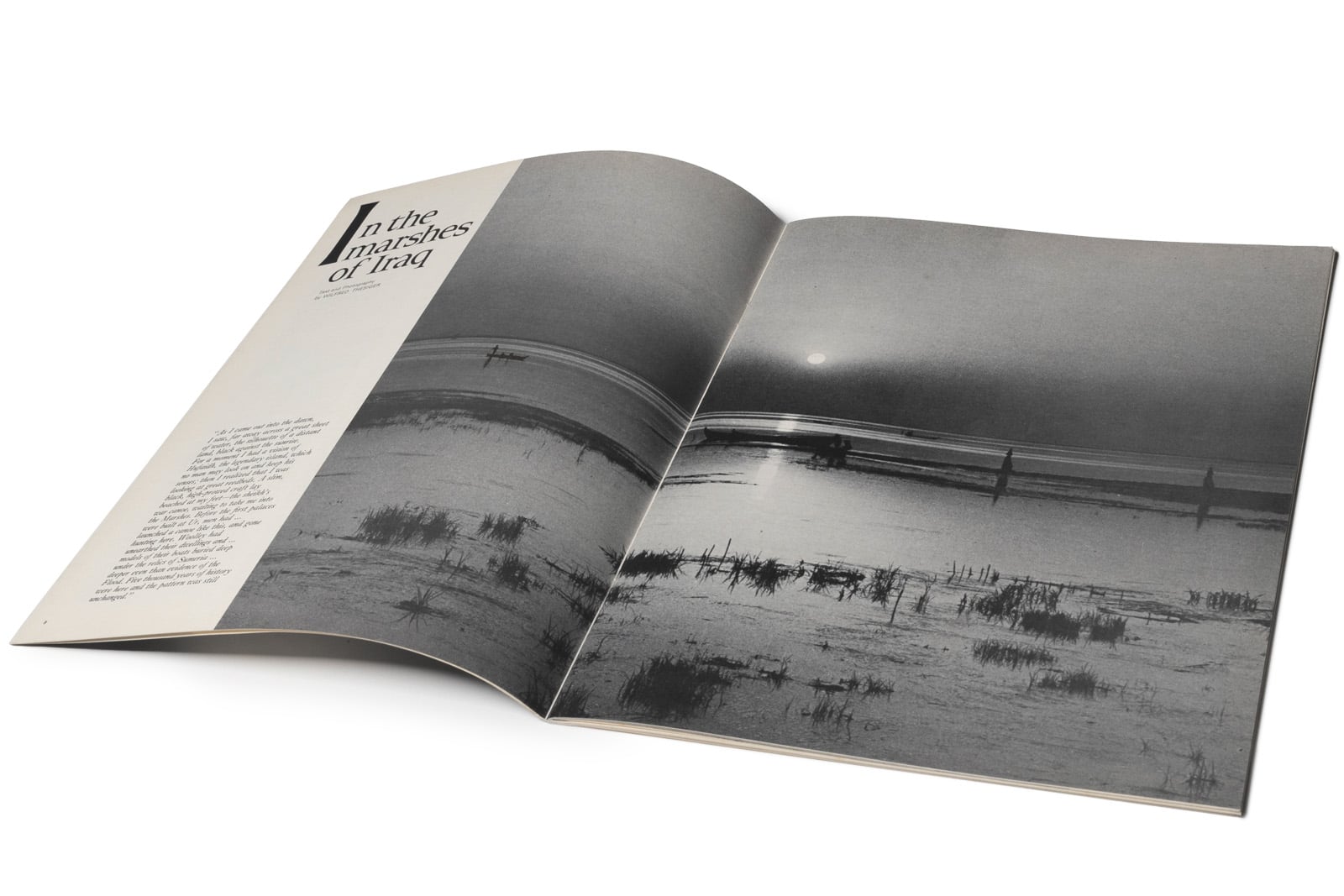 “In the Marshes of Iraq”