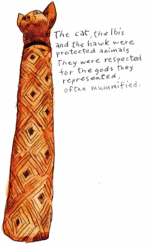 The cat, the ibis were protected animals.They were respected for the gods they represented, often mummified.