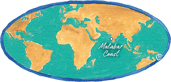 Malabar Coast - Pepper Map
