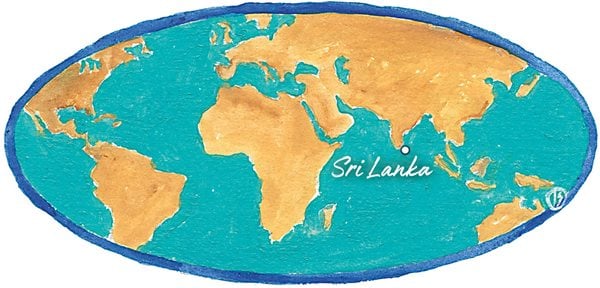 Sri Lanka - Spice Migrations - Cinnamon