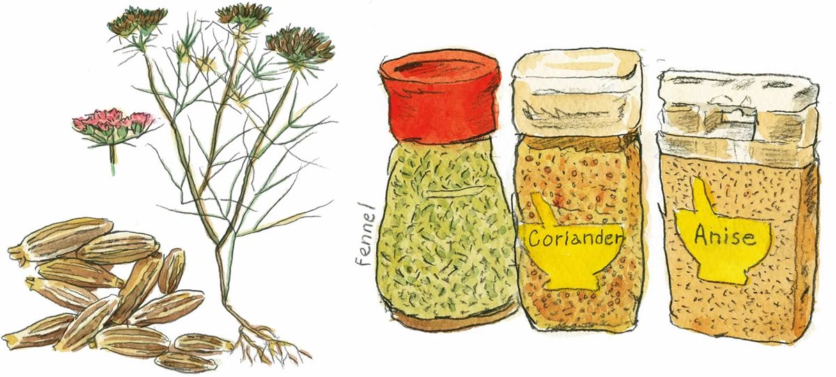 Canary Island spices
