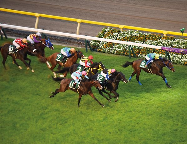 <p>By a nose, Brave Smash crosses the photo-finish line to win the 1,600-meter Saudi Arabia Royal Cup and earn the two-year-old and owner &yen;32.4 million ($280,000).</p>
