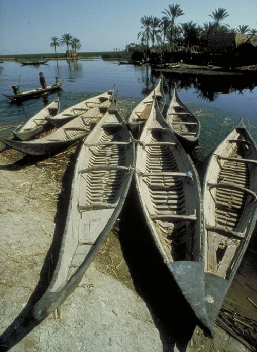 The equivalent of an urban parking lot, a marsh bank accommodates a fleet of mushhuf during midday break.