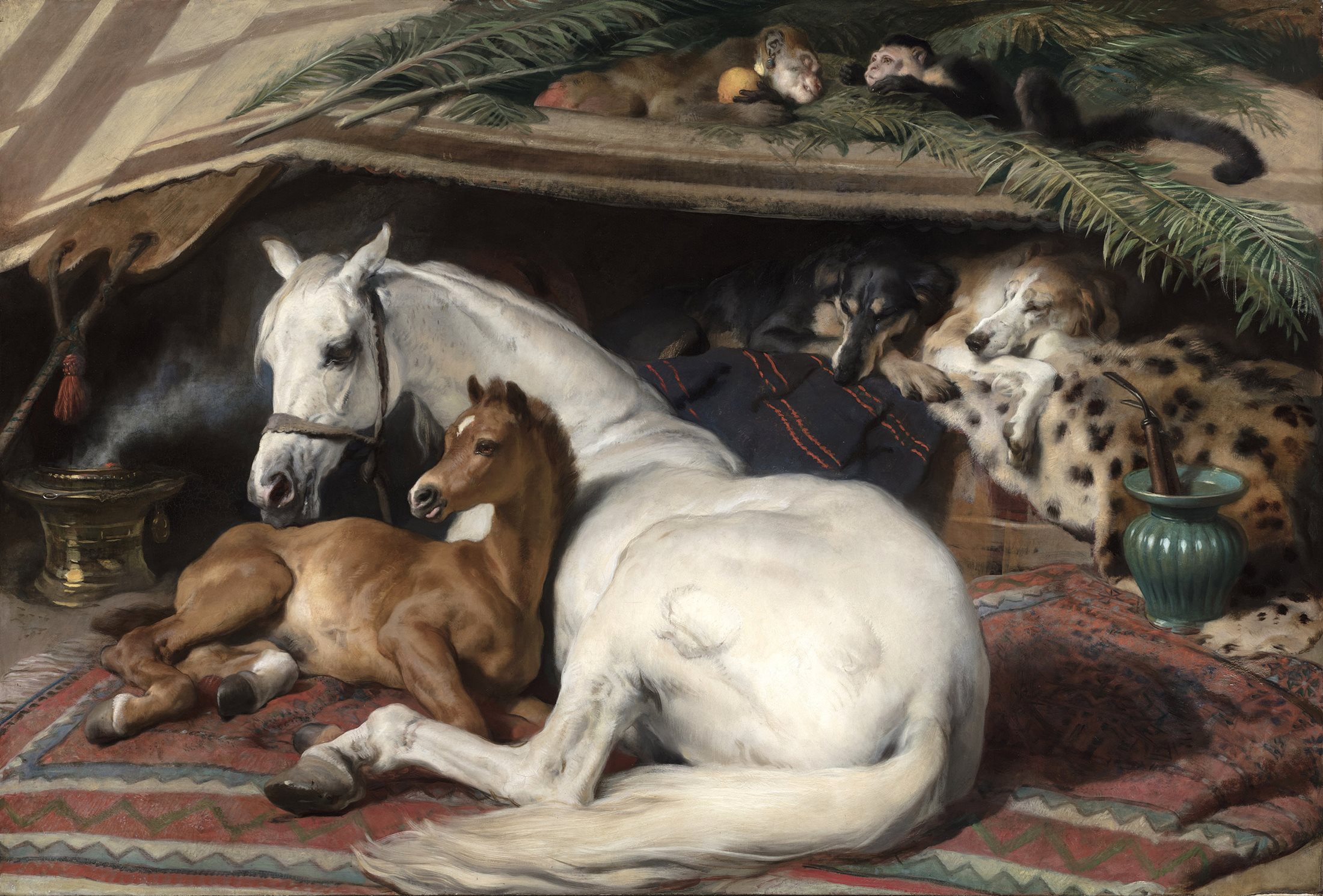 Horse3?width=2200&height=1490&ext=.jpg