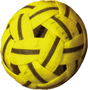 Sepak Takraw Ball