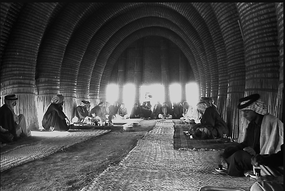 The largest mudhif in the region belonged to Shaykh Falih bin Majid, whose son Mohammed had been the one to assign Bin Thuqub as a guide to the newly arrived Englishman.