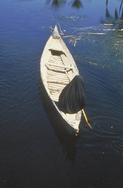 Navigating the marsh on a mushhuf.