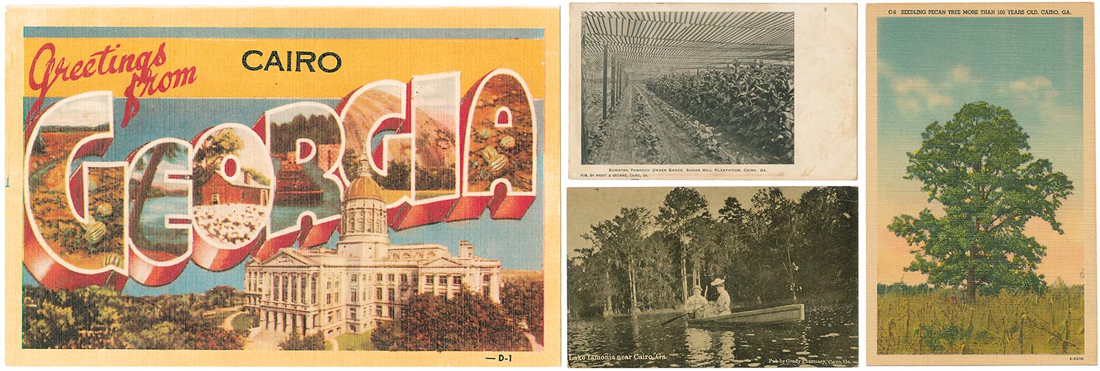 Opposite</b>: Printing a town’s name on a state-focused postcard was common. Pecans, waterways and tobacco appeared on postcards, too. The sender of the card at <b>lower left</b> wrote, “We are having a lot of picnics now. That one at Cairo was exceedingly fine.”