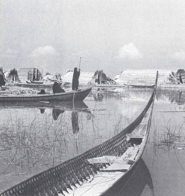 She was a beautiful craft that could carry as many as twelve people. Thirty-six feet long but only three and a half feet at her widest beam, she was carvel-built, flat-bottomed and covered outside with a smooth coating of bitumen over the wooden planks. The front swept forwards and upwards in a perfect curve to form a long, thin, tapering stem; the stern too rose in a graceful sweep. Two feet of the stern and of the bows were decked; there was a thwart a third of the way forward, and a strengthening beam across the boat two-thirds of the way forward. Movable boards covered the floor. The top part of the ribs was planked along the inside and studded with five rows of flat, round nail-heads two inches across. These decorative nails were the distinguishing mark of a tarada which only a sheikh may own.