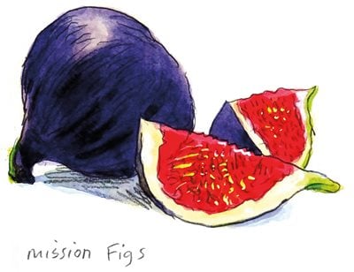 Prickly pear / Indian fig • Mission Figs