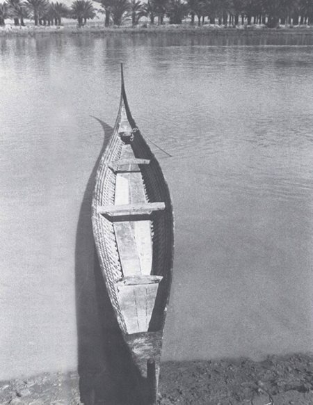 She was a beautiful craft that could carry as many as twelve people. Thirty-six feet long but only three and a half feet at her widest beam, she was carvel-built, flat-bottomed and covered outside with a smooth coating of bitumen over the wooden planks. The front swept forwards and upwards in a perfect curve to form a long, thin, tapering stem; the stern too rose in a graceful sweep. Two feet of the stern and of the bows were decked; there was a thwart a third of the way forward, and a strengthening beam across the boat two-thirds of the way forward. Movable boards covered the floor. The top part of the ribs was planked along the inside and studded with five rows of flat, round nail-heads two inches across. These decorative nails were the distinguishing mark of a tarada which only a sheikh may own.